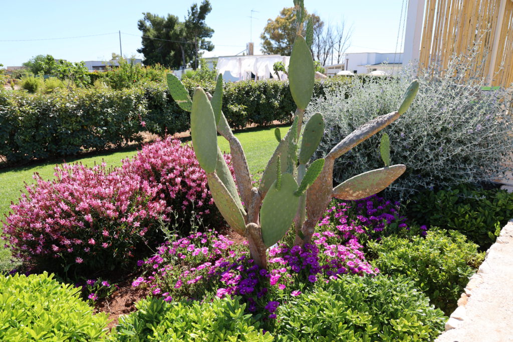 Giardino de Le Grancìe - Agriturismo con piscina e area Glamping in salento, tra Porto Cesareo e Nardò